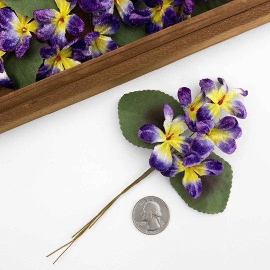 Spray of 5 Purple + Yellow Velvet Violets ~ Czech Republic