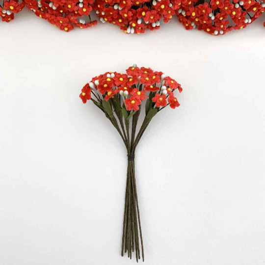 Bundle of Petite Velvet Forget me Nots ~ Czech Republic ~ RED