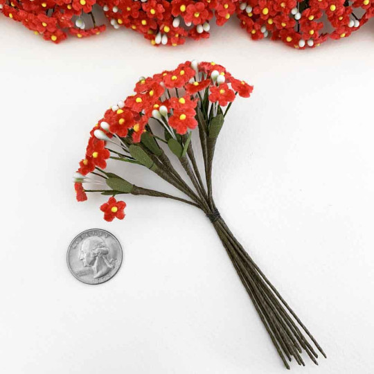 Bundle of Petite Velvet Forget me Nots ~ Czech Republic ~ RED