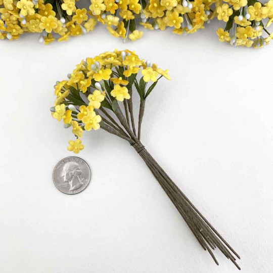 Bundle of Petite Velvet Forget me Nots ~ Czech Republic ~ YELLOW