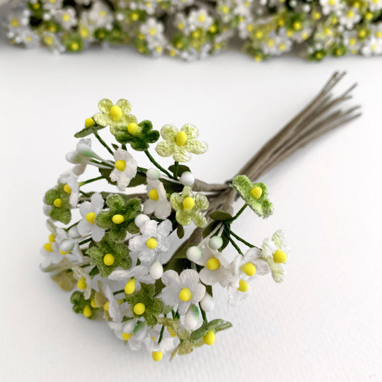 Mixed Bundle of Petite Velvet Forget me Nots ~ Czech Republic ~ GREEN + WHITE MIX