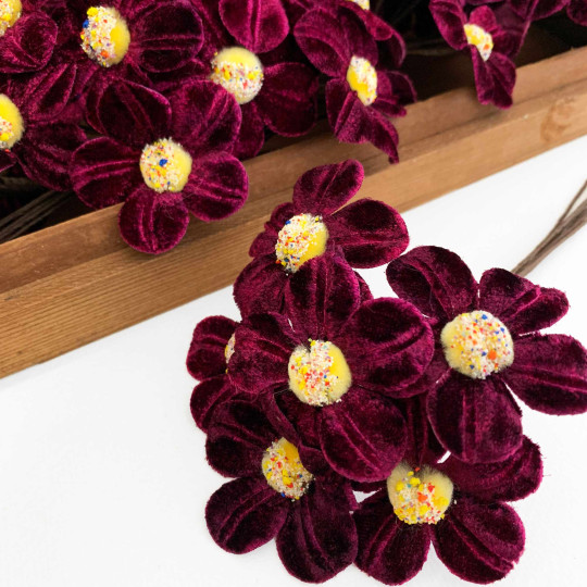 Bunch of Deep Burgundy Velvet Flowers with Fuzzy Centers ~ Czech Republic