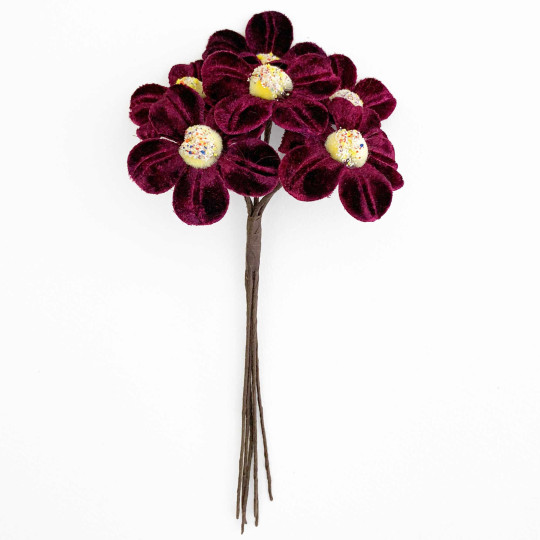 Bunch of Deep Burgundy Velvet Flowers with Fuzzy Centers ~ Czech Republic