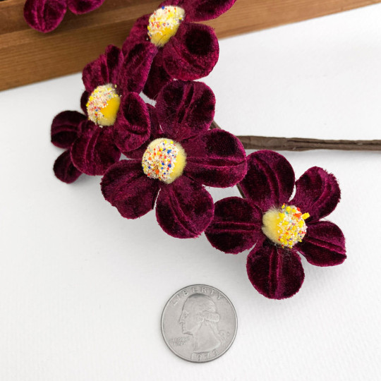 Bunch of Deep Burgundy Velvet Flowers with Fuzzy Centers ~ Czech Republic