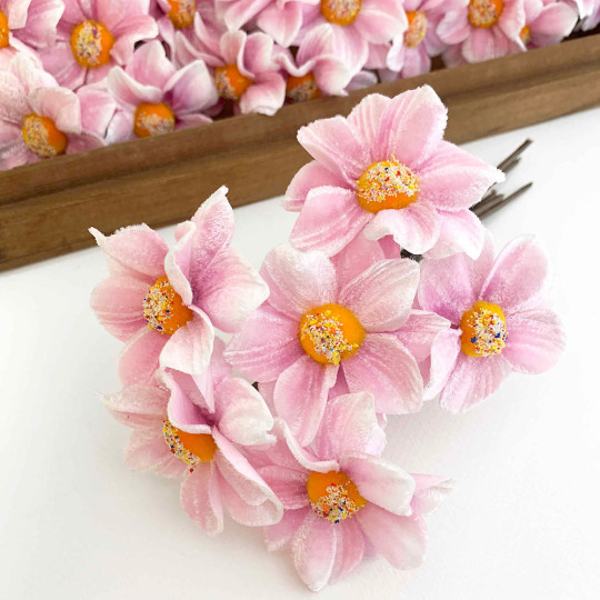 Bunch of Light Pink Velvet Dahlia Flowers with Fuzzy Centers ~ Czech Republic
