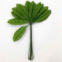 12 Green Fruit Leaves ~ 1-3/4" Long