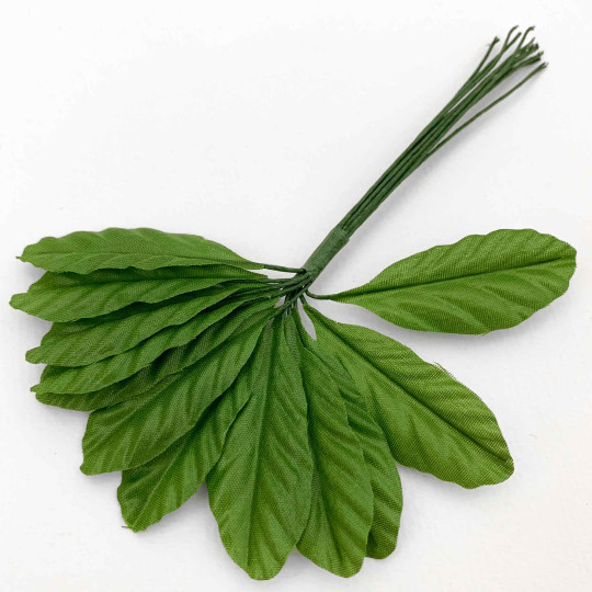 12 Green Fruit Leaves ~ 1-3/4" Long