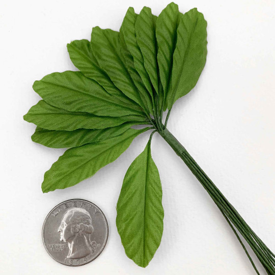 12 Green Fruit Leaves ~ 1-3/4" Long