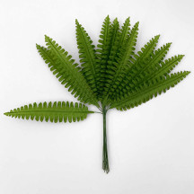 12 Long Green Fern Leaves ~ 4-3/4" Long