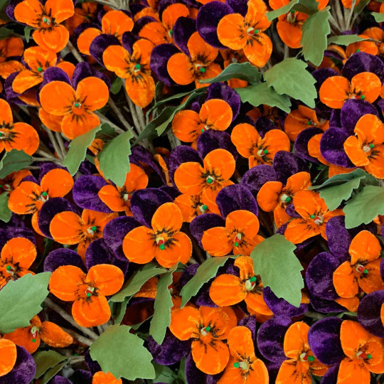 Spray of Small Velvet Pansies ~ Czech Republic ~ Dark Purple + Orange