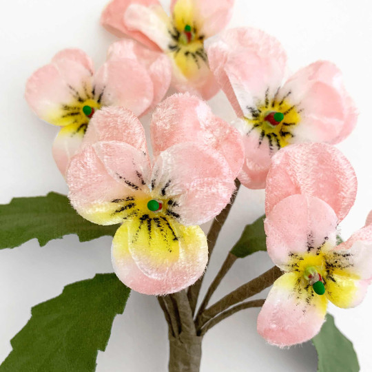 Spray of Small Velvet Pansies ~ Czech Republic ~ Pale Pink + White + Yellow