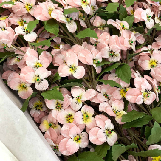 Spray of Small Velvet Pansies ~ Czech Republic ~ Pale Pink + White + Yellow