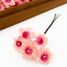 5 Light Pink + Pink Velvet Narcissus ~ Czech Republic