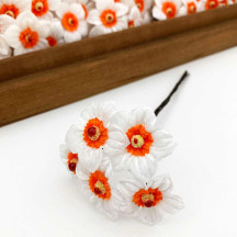 5 White + Orange Velvet Narcissus ~ Czech Republic