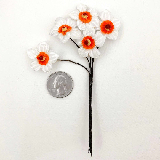 5 White + Orange Velvet Narcissus ~ Czech Republic