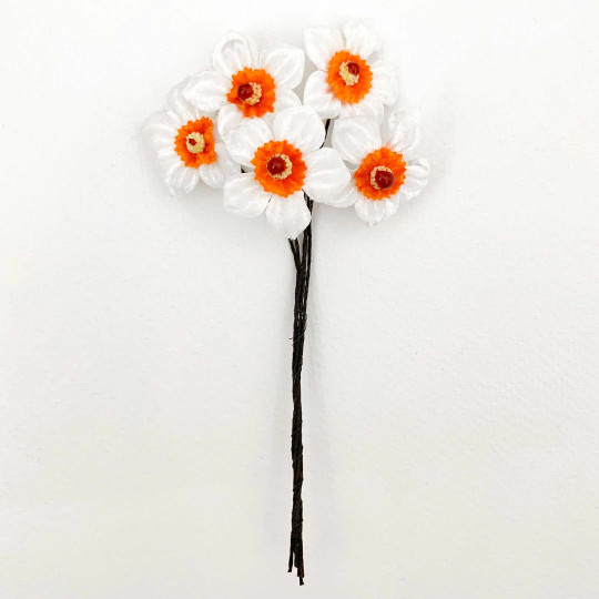5 White + Orange Velvet Narcissus ~ Czech Republic