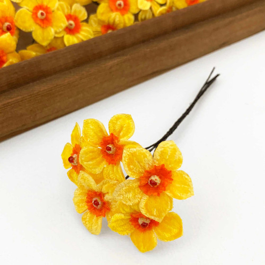 5 Yellow + Orange Velvet Narcissus ~ Czech Republic