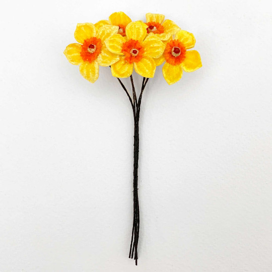 5 Yellow + Orange Velvet Narcissus ~ Czech Republic