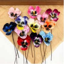 Bundle of Small Velvet Pansies ~ Mixed Colors ~ 12 Craft Stems