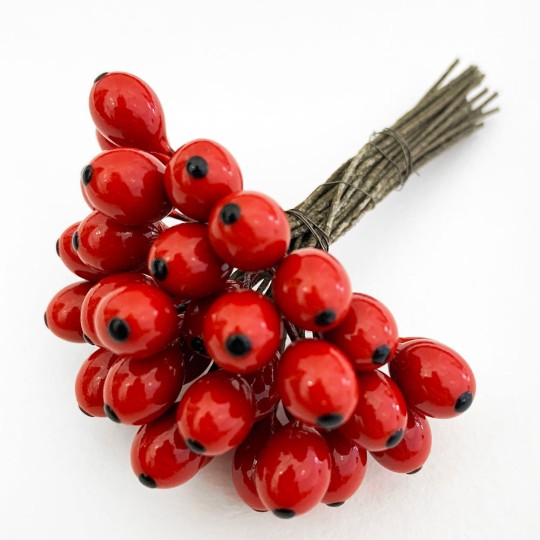 36 Miniature Lacquered Red Berries with Black Dots~ 3/8"