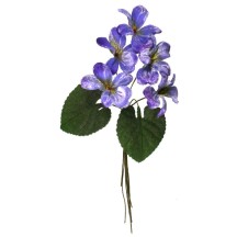 Spray of 5 Light Blue Ombre Violets ~ Czech Republic