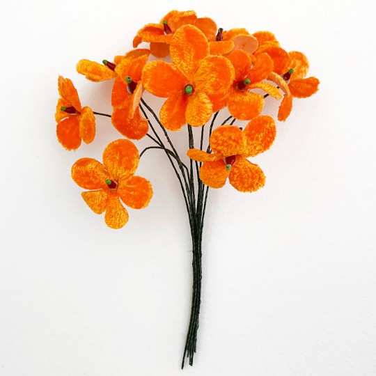 Bouquet of 12 Orange Velvet Forget Me Nots ~ Czech Republic