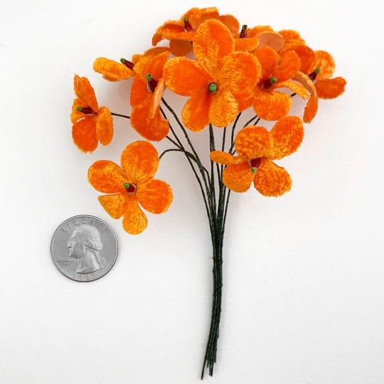 Bouquet of 12 Orange Velvet Forget Me Nots ~ Czech Republic