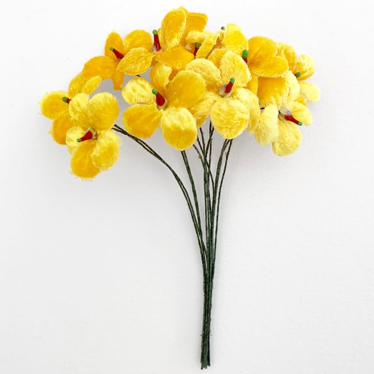 Bouquet of 12 Yellow Velvet Forget Me Nots ~ Czech Republic