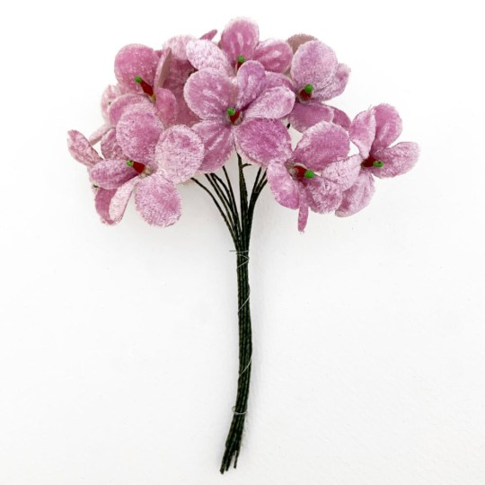 Bouquet of 12 Light Purple Velvet Forget Me Nots ~ Czech Republic