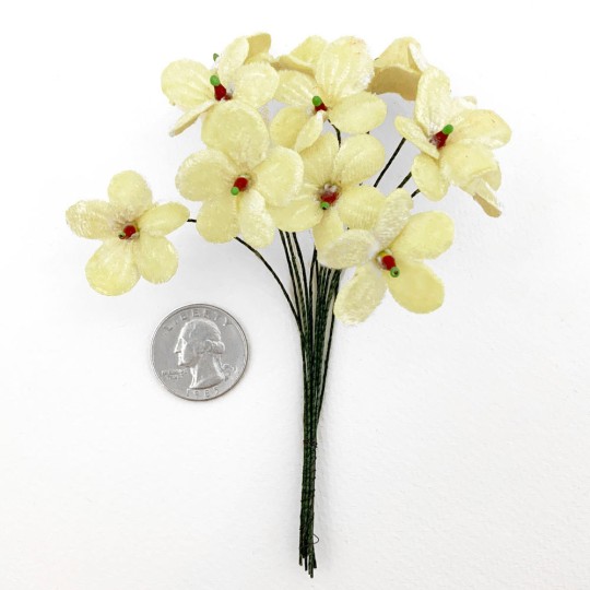 Bouquet of 12 Light Yellow Velvet Forget Me Nots ~ Czech Republic
