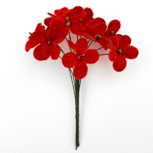Bouquet of 12 Red Velvet Forget Me Nots ~ Czech Republic