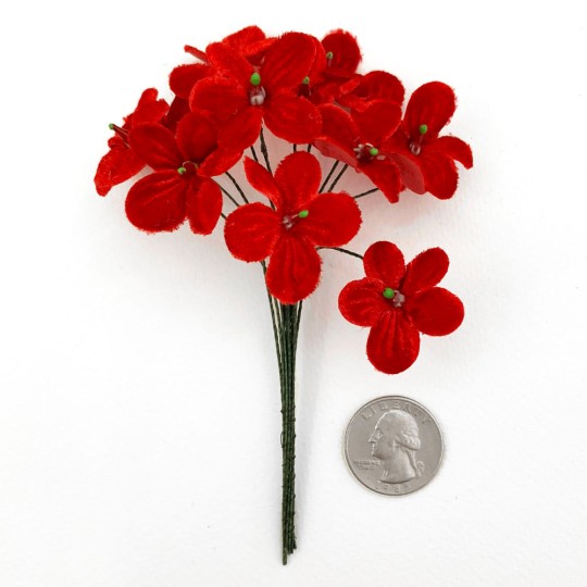 Bouquet of 12 Red Velvet Forget Me Nots ~ Czech Republic