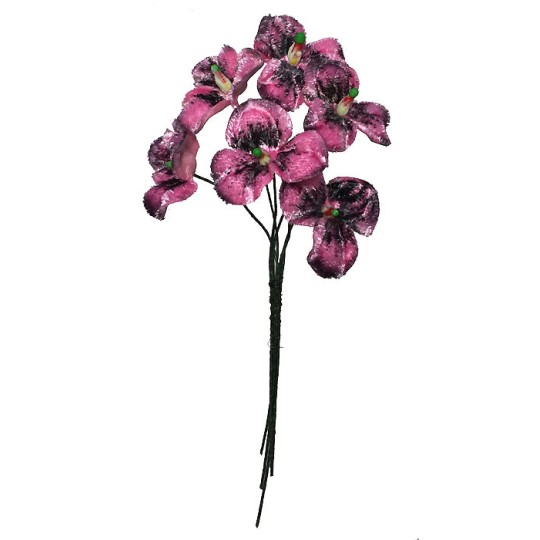 Bouquet of 6 Pink and Black Velvet Pansies ~ Czech Republic