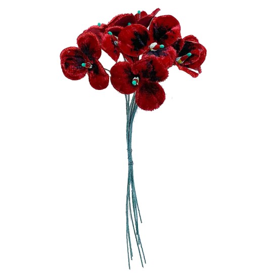 Bouquet of 10 Dark Red Velvet Pansies ~ Czech Republic