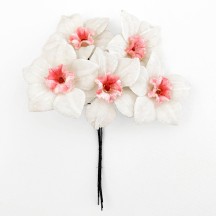 5 Velvet Fabric Narcissus ~ Czech Republic ~ White + Light Pink