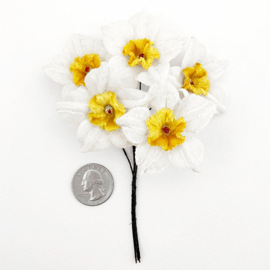 5 Velvet Fabric Narcissus ~ Czech Republic ~ White + Yellow