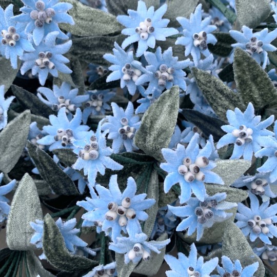 6 Velvet Fabric Edelweiss ~ Czech Republic ~ Light Blue
