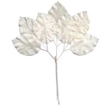 Large Sprig of White Velvet Rose Leaves ~ Vintage Japan