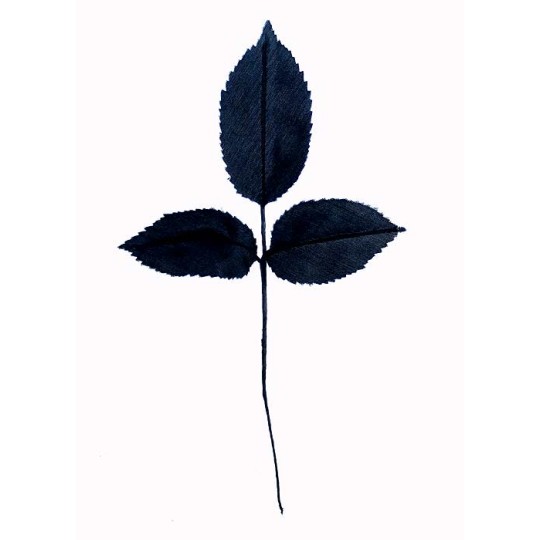 15 Black Embossed Silk Rose Leaves ~ Vintage Germany