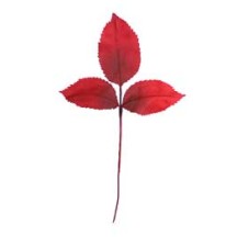 15 Red Ombre Embossed Silk Rose Leaves ~ Vintage Germany