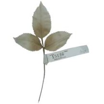 15 Tan Embossed Silk Rose Leaves ~ Vintage Germany