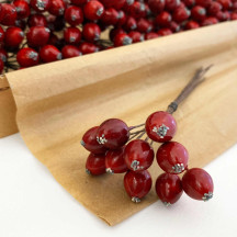 10 Red Lacquered Cranberries ~ 1/2" ~ Czech Republic