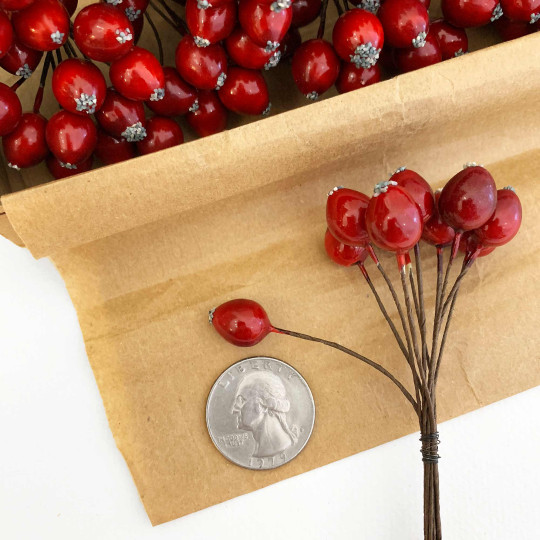 10 Red Lacquered Cranberries ~ 1/2" ~ Czech Republic