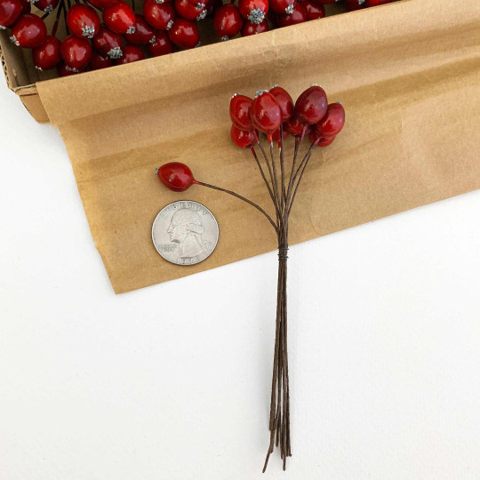 10 Red Lacquered Cranberries ~ 1/2" ~ Czech Republic