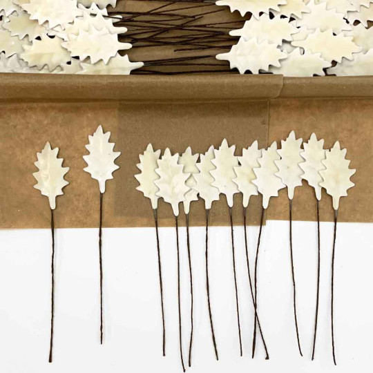 Cream Lacquered Petite Holly Leaves for Christmas Crafts ~ Bundle of 12 Old Fashioned Craft Leaves