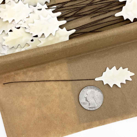 Cream Lacquered Petite Holly Leaves for Christmas Crafts ~ Bundle of 12 Old Fashioned Craft Leaves