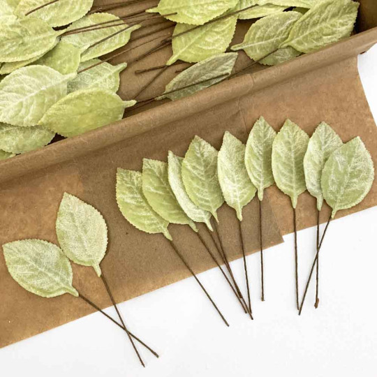 Set of 12 Velvet Rose Leaves ~ PALE GREEN