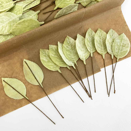 Set of 12 Velvet Rose Leaves ~ PALE GREEN