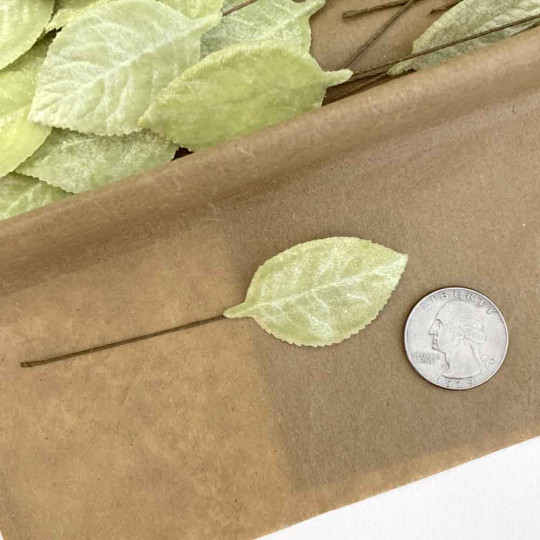 Set of 12 Velvet Rose Leaves ~ PALE GREEN