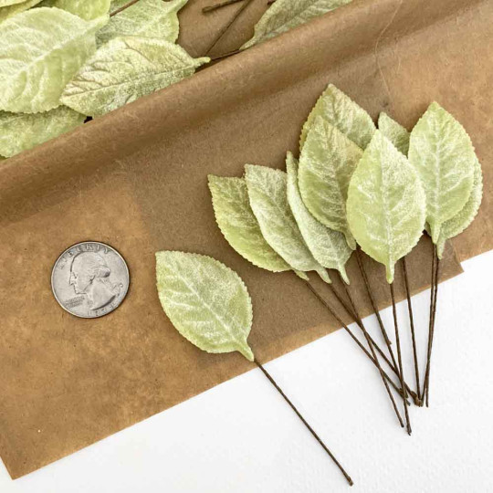 Set of 12 Velvet Rose Leaves ~ PALE GREEN